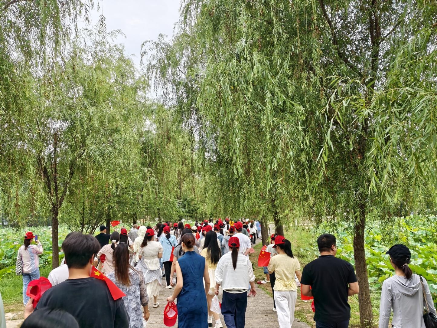 图片6.jpg