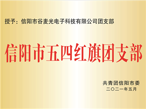 信阳五四团支部